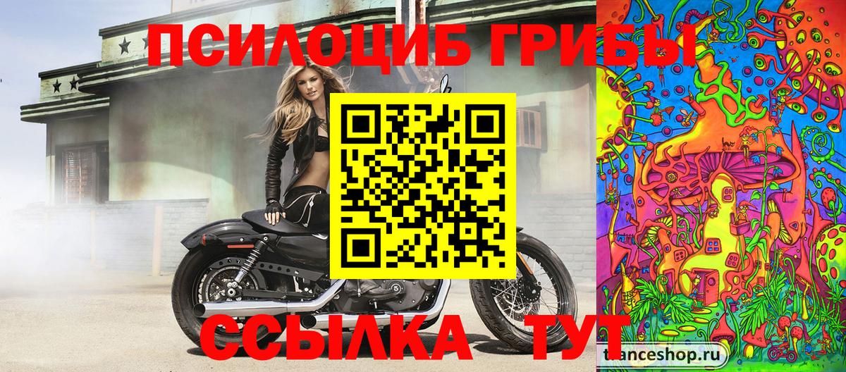 закладка  Вход с VPN  Нарткала  Псилоцибиновые грибы мицелий  Галлюциногенные грибы GOLDEN TEACHER 
